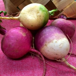 Heirloom Turnips by LocalLavender.com