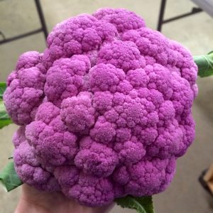 Purple Cauliflower by LocalLavender.com