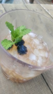 my blueberry julep