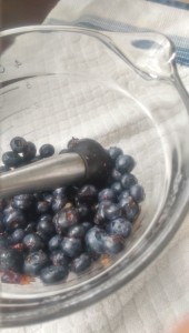 I. love. blueberries. 