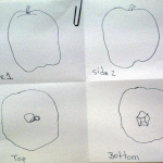 apple drawings 008