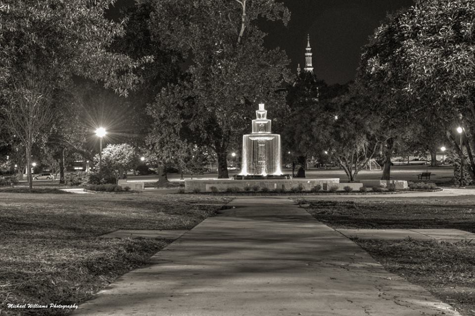 Photo by Michael Williams, posted to the Friends of Tattnall Square Park Facebook page