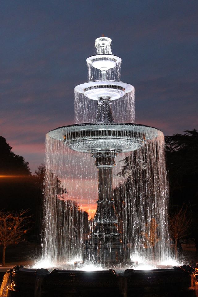 Photo by Christen Holloway, posted to the Friends of Tattnall Square Park Facebook page